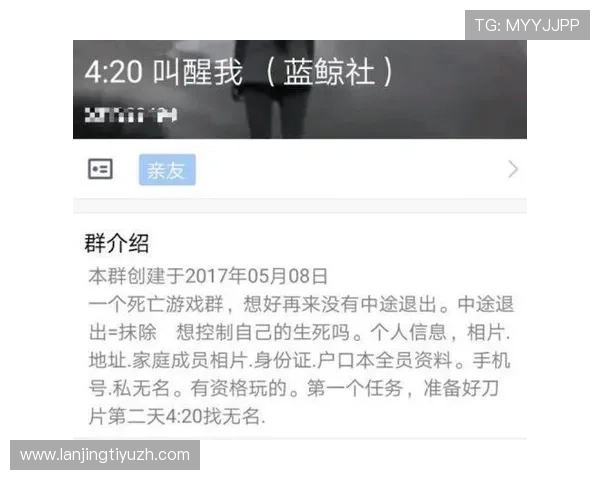 蓝鲸官方下载最新版本，安全稳定的游戏下载与安装指南